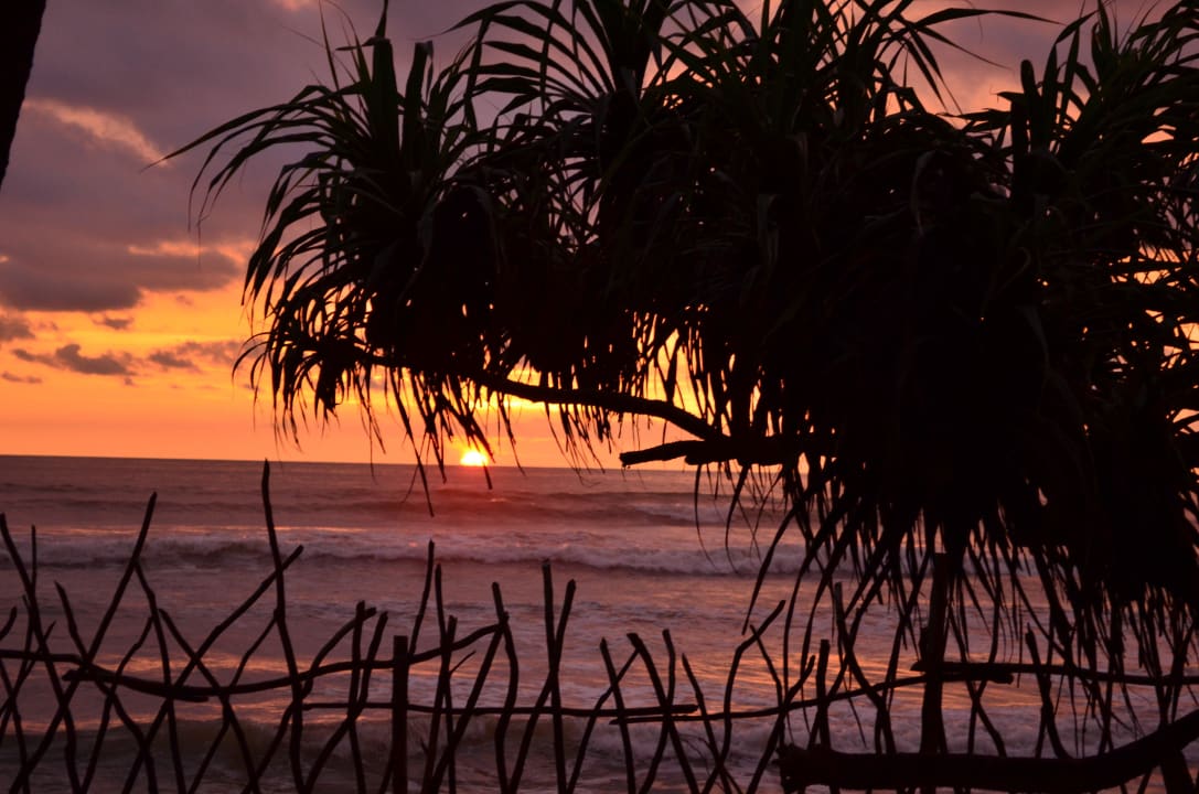 Der indische Ozean Siddhalepa Ayurveda Health Resort