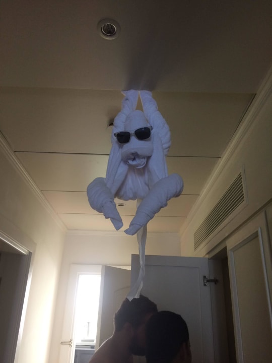 Handtuchtier Baron Palace Sahl Hasheesh