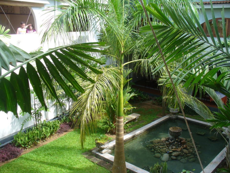Restaurant-Teich Hotel Club Palm Garden