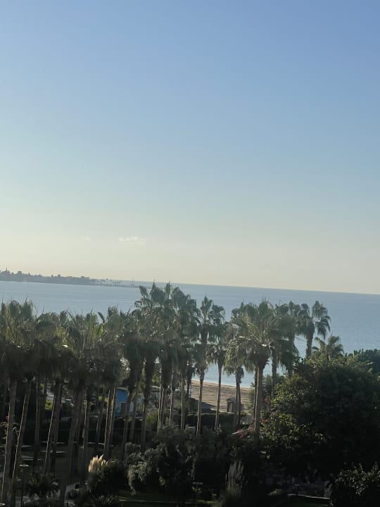 Ausblick Arum Barut Collection