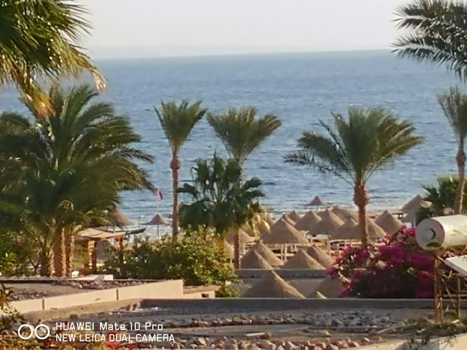 Ausblick Parrotel Beach Resort