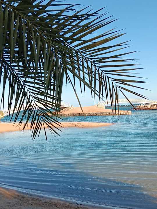 Sonstiges Sheraton Miramar Resort El Gouna