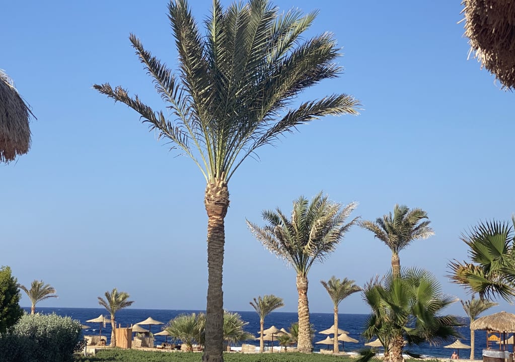 Ausblick Three Corners Sea Beach Resort