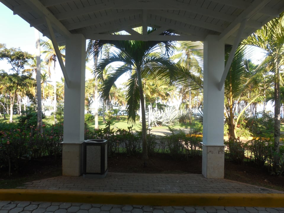 Hotelzufahrt Wyndham Alltra Samana