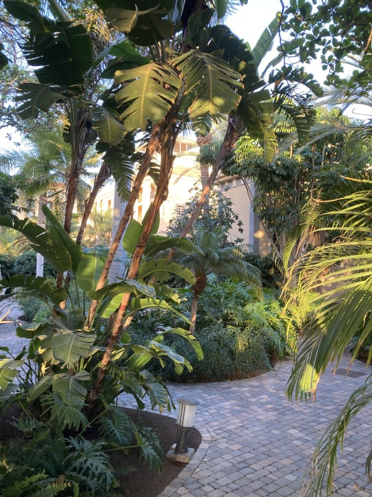 Gartenanlage Lopesan Costa Meloneras, Resort & Spa