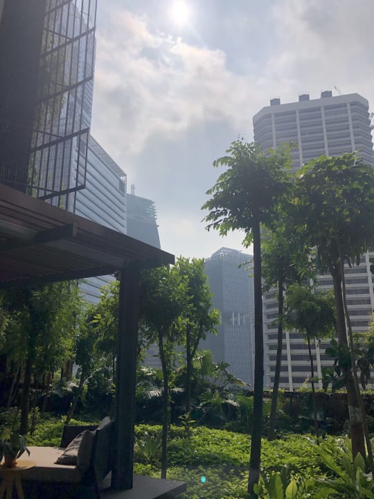 Gartenanlage Sofitel Singapore City Centre