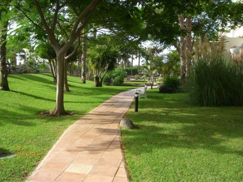 Gartenanlage Tabaiba Princess