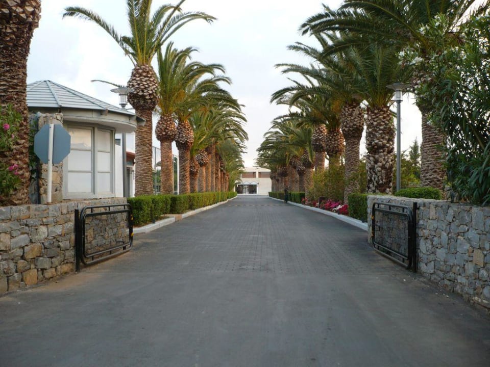 Zufahrt zum Hotel Phãea Cretan Malia