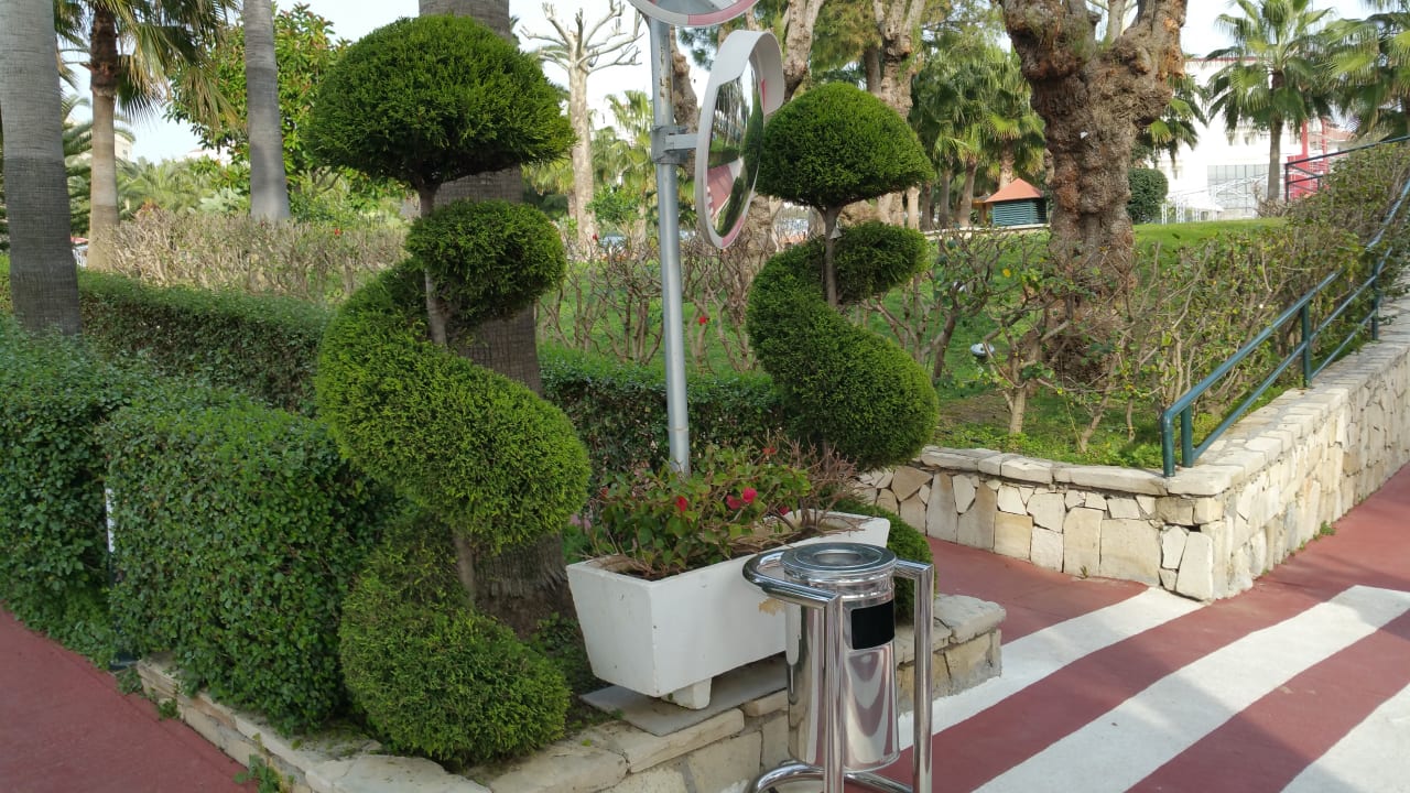 Garten, sehr gepflegt Hotel Miramare Beach