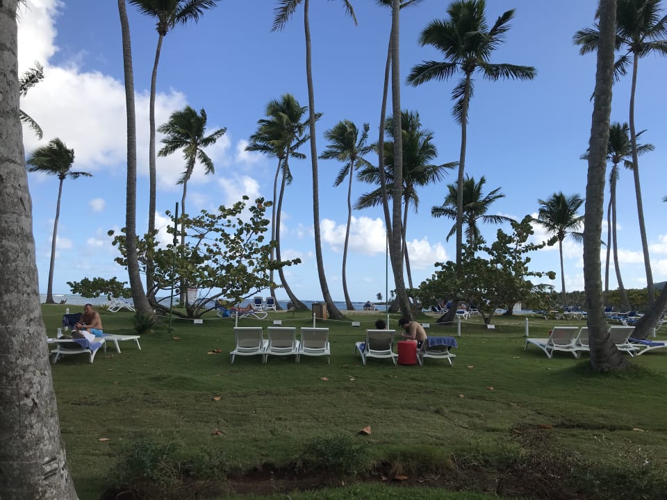 Gartenanlage Wyndham Alltra Samana