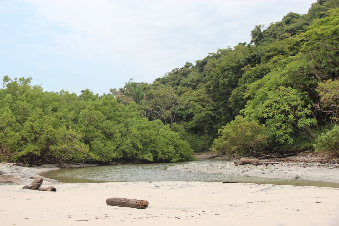 Strand Hotel Paraiso del Cocodrilo