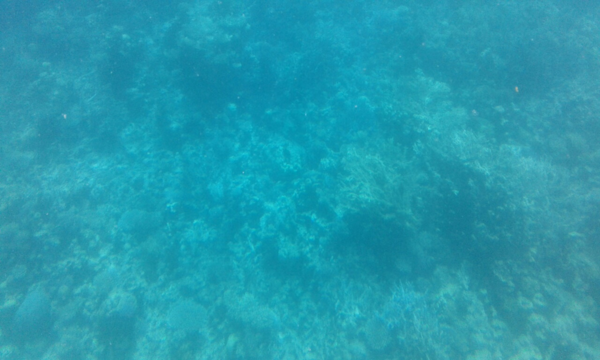 Pool Serenity Alpha Beach