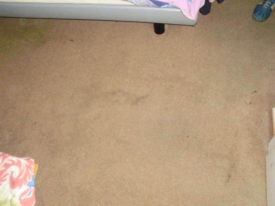 La moquette Hotel de l'Ange