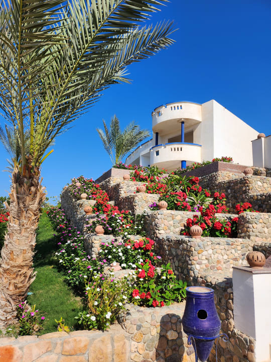 Gartenanlage Coral Sun Beach