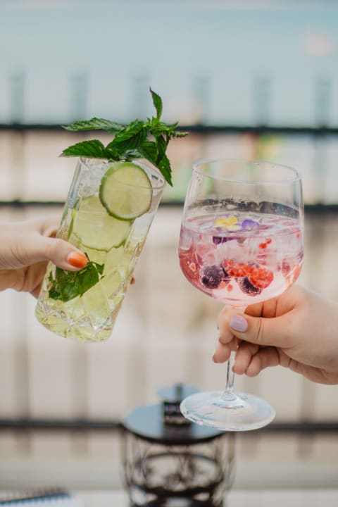 Gastro Villas Arausana & Antonina