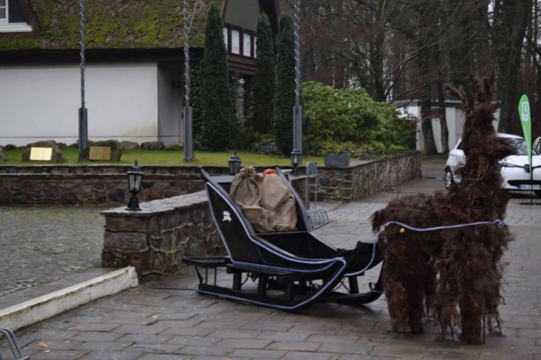 Der Vorplatz Meeressterne Hotel Forsthaus Damerow