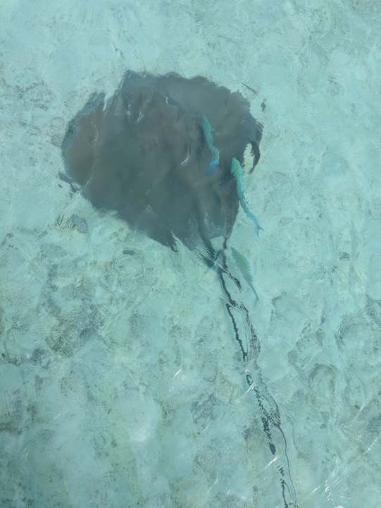 Strand Kuramathi Maldives