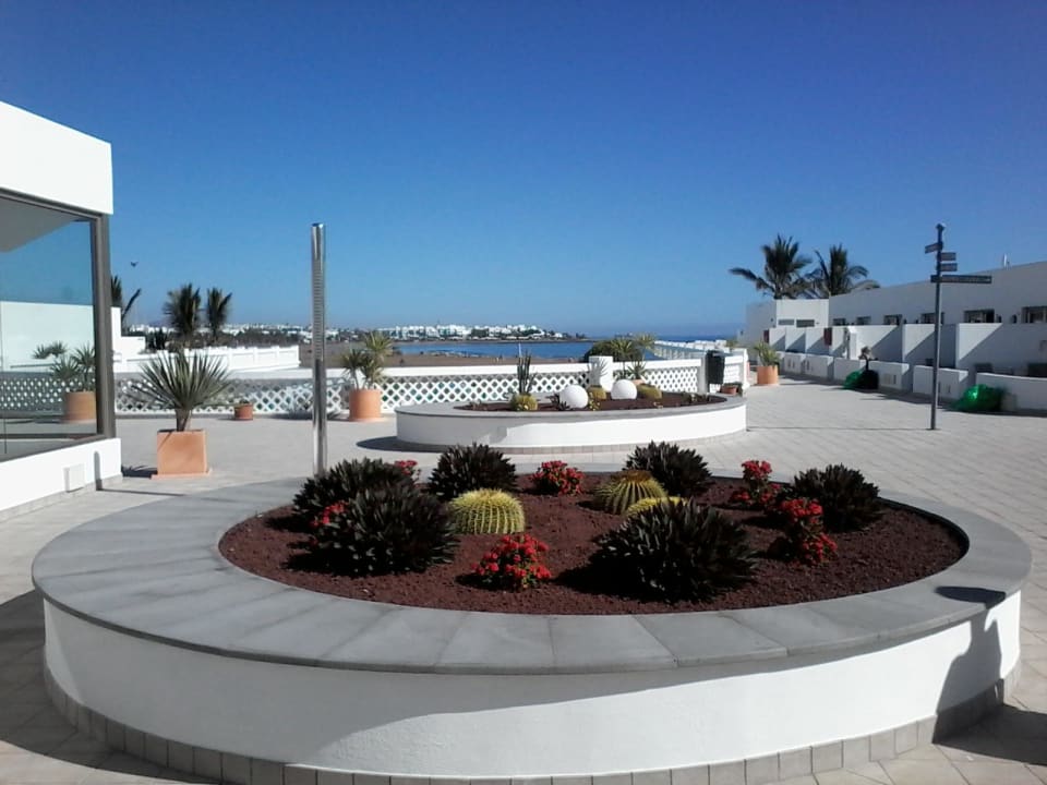 Beete alles sauber und gepflegt  Hotel Las Costas