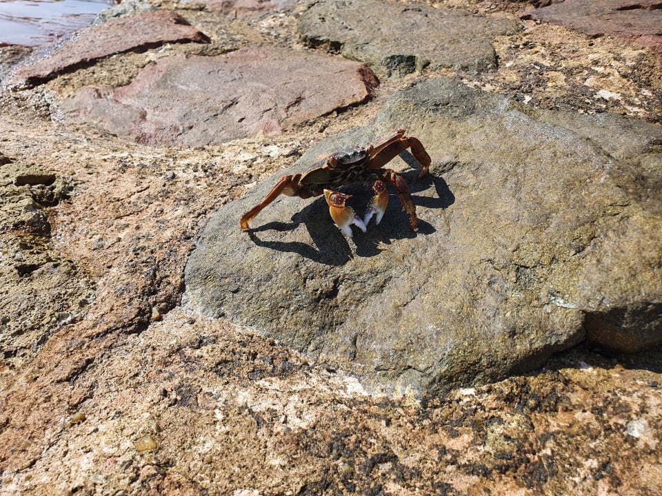 Strand Arabia Azur Resort