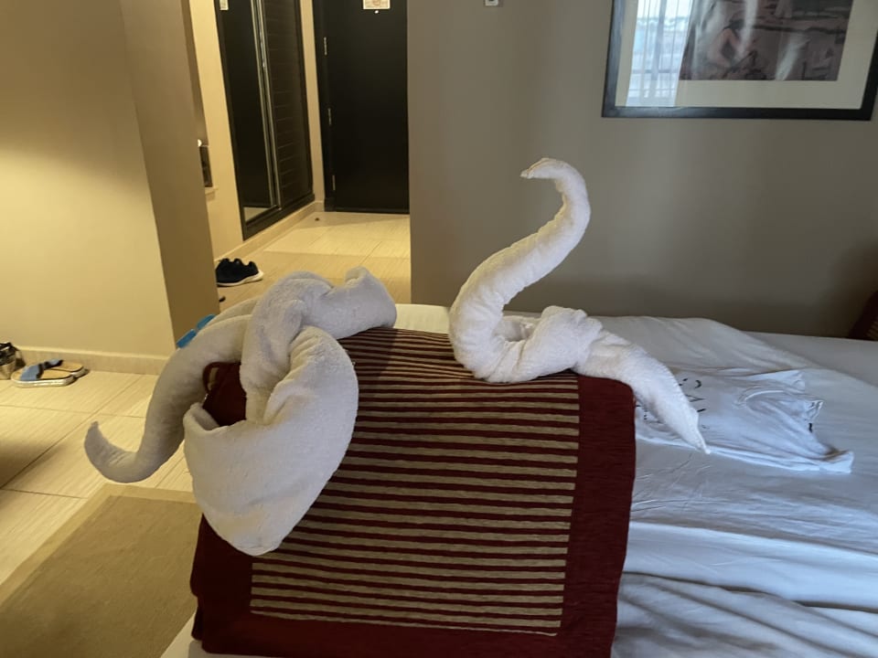 Zimmer Jaz Makadi Oasis Resort