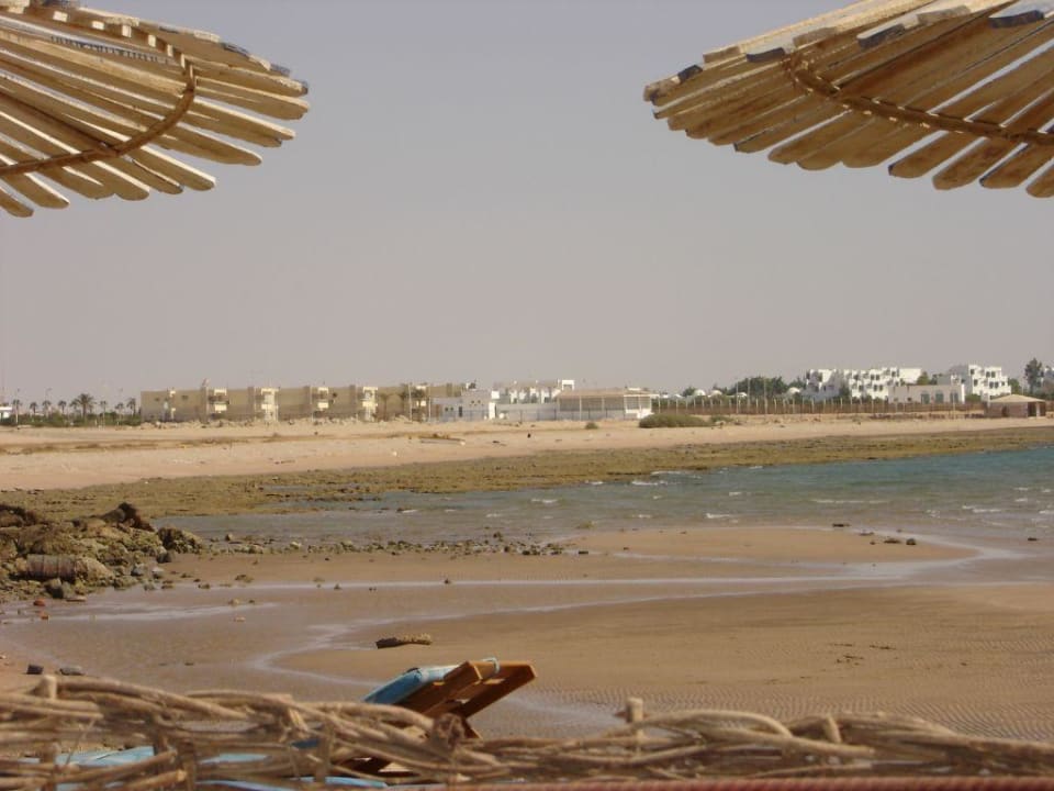 strand links neben dem hotel Beach Albatros Resort