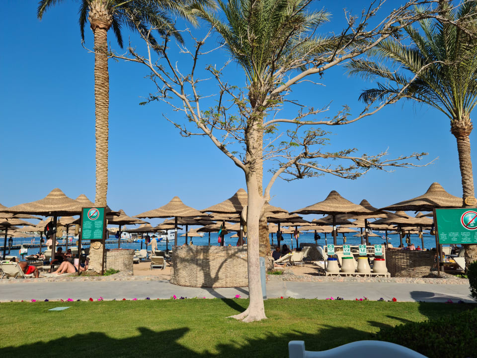 Strand Jaz Makadina