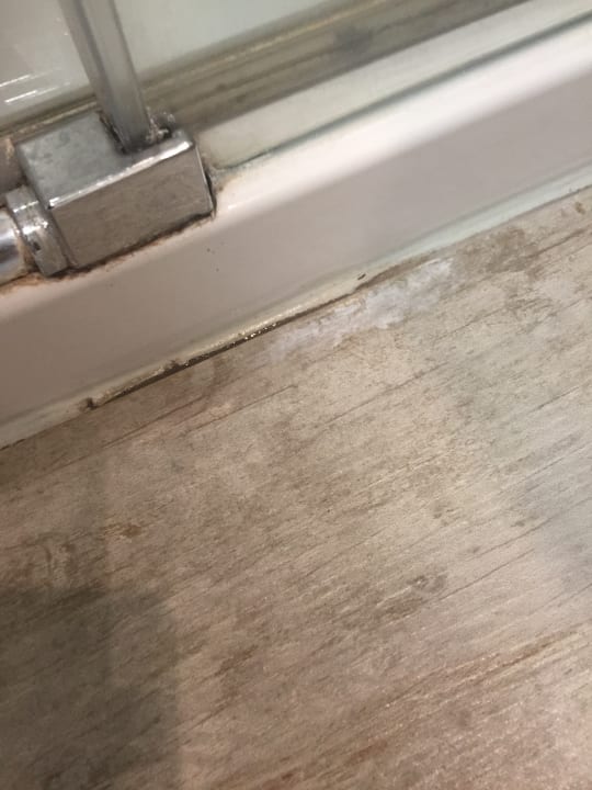 Zimmer Alcudia Garden Aparthotel