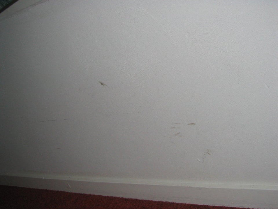 Dreckige Zimmerwände Hotel Green White