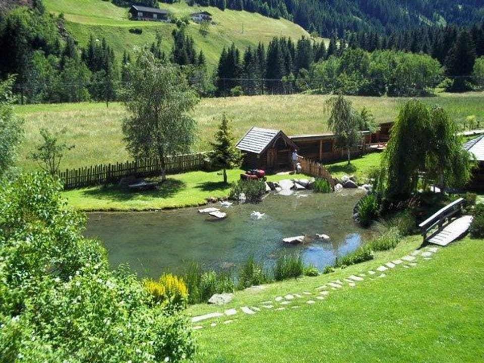 Teich mit Schwänen Alphotel Tyrol