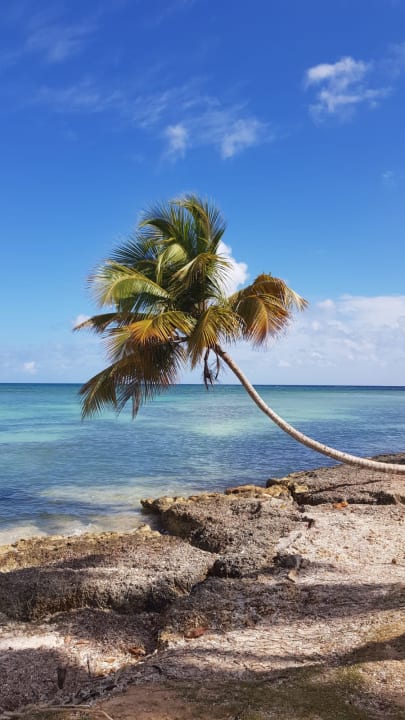 Strand Wyndham Alltra Samana