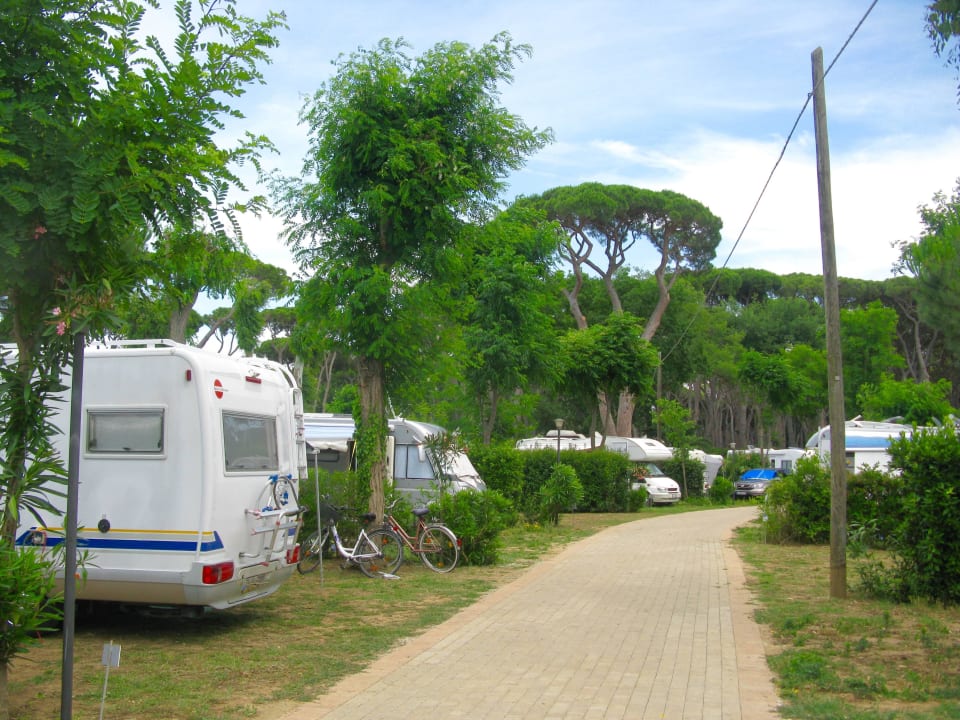Große Stellplätze für Wohnmobile oder Wohnwagen Park Albatros Village
