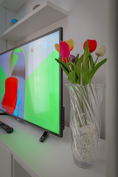 Zimmer Emiljano Apartment