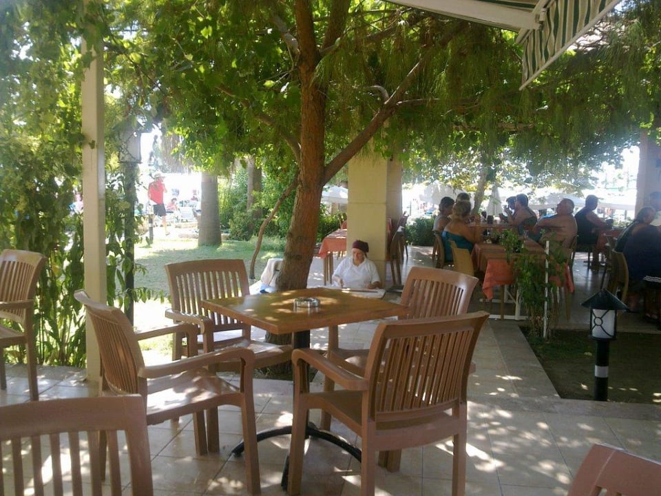 Leckere Gözleme am Snack-Bar Trendy Palm Beach (Adults Only, 16+)
