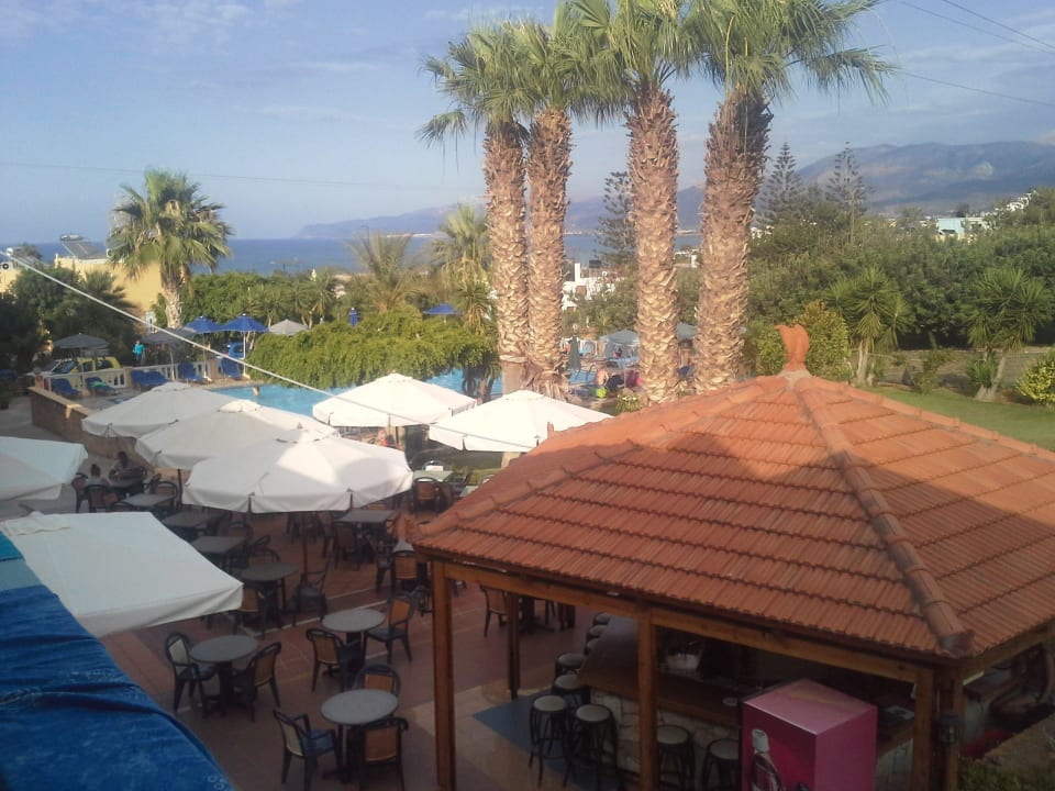 Zimmerausblick  Zimmer Nr.222 Hotel Paloma Garden