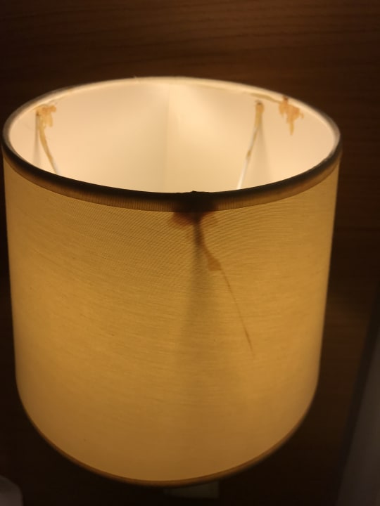 Zimmer Botanique Hotel Prague