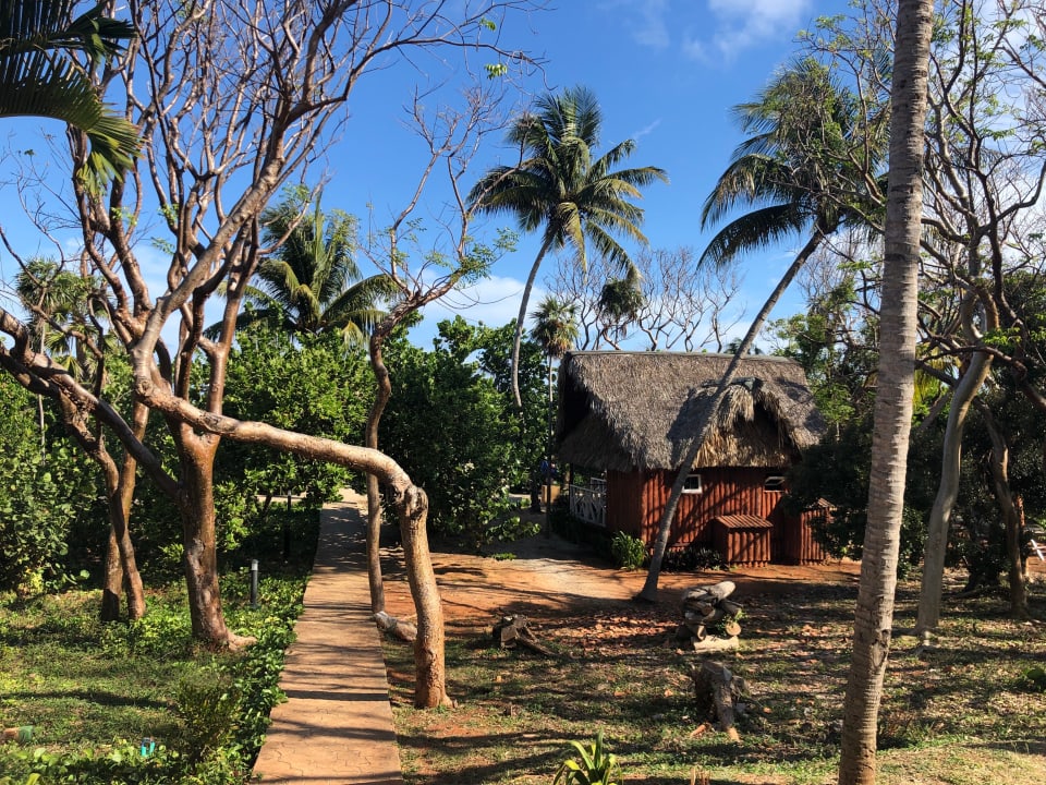 Gartenanlage Sirenis Tropical Varadero