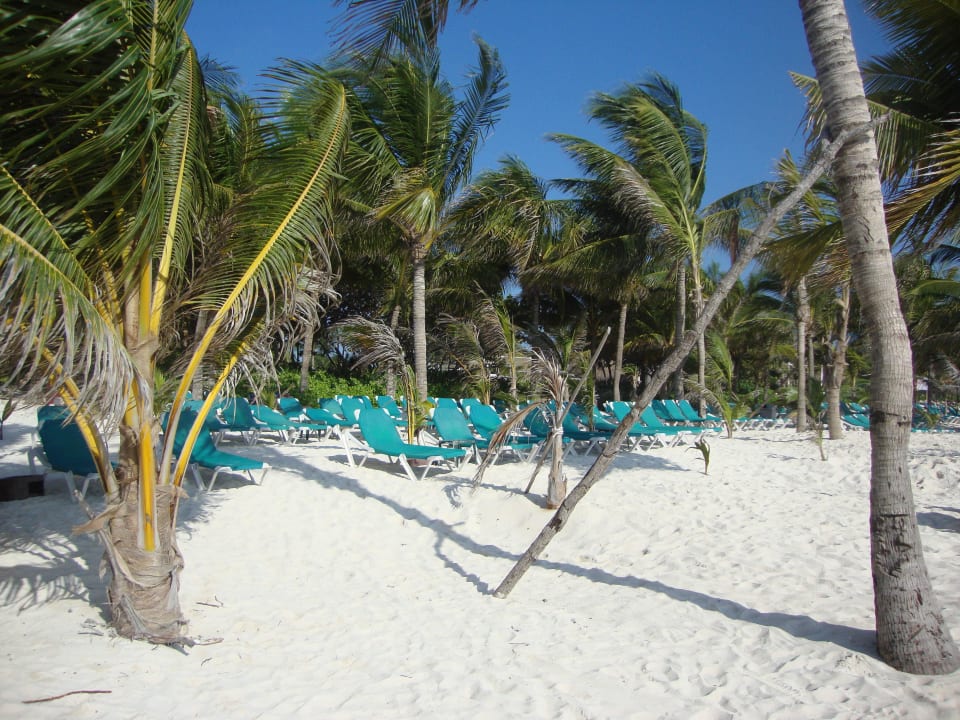 Hotel Catalonia Playa Maroma Catalonia Playa Maroma