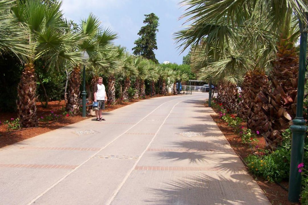 Einfahrt Calimera Sirens Beach