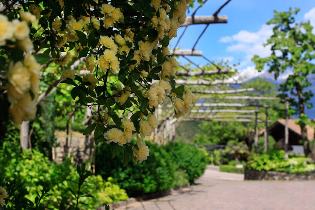 Der Parkplatz steht den Gäste kostenlos zur Verf. Apartments Gasserhof