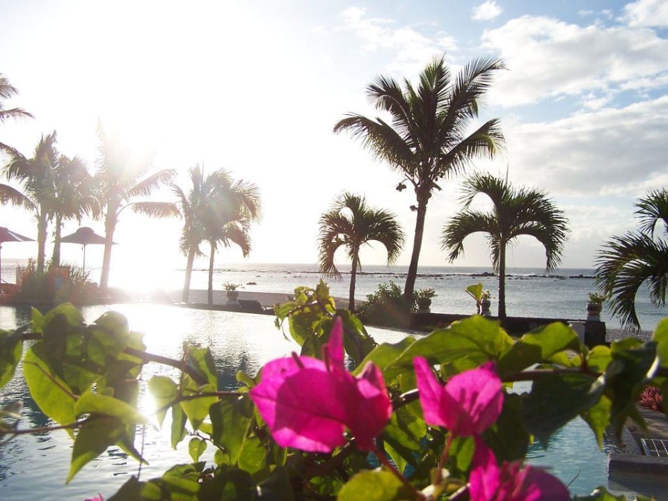 Pool Hotel Villas Caroline