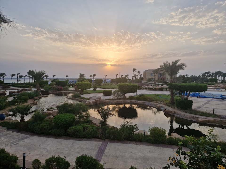 Gartenanlage Palm Royale Resort - Soma Bay