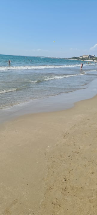 Strand Clover Magic Nova Beach