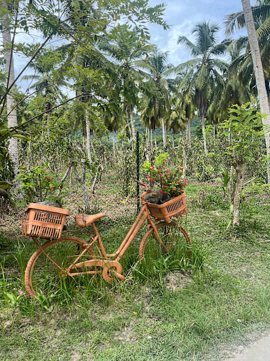 Gartenanlage Hotel Patatran Village