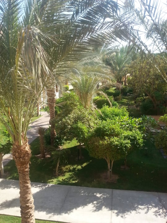 Sehr sehr gepflegt Jaz Makadi Saraya Resort