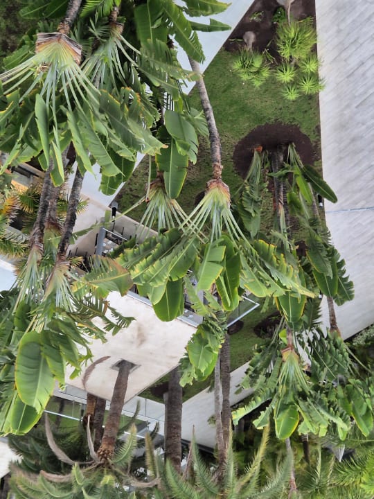 Außenansicht Hotel Riu Palace Palmeras