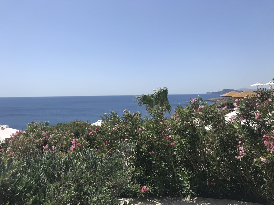 Ausblick Hotel Kalithea Horizon Royal