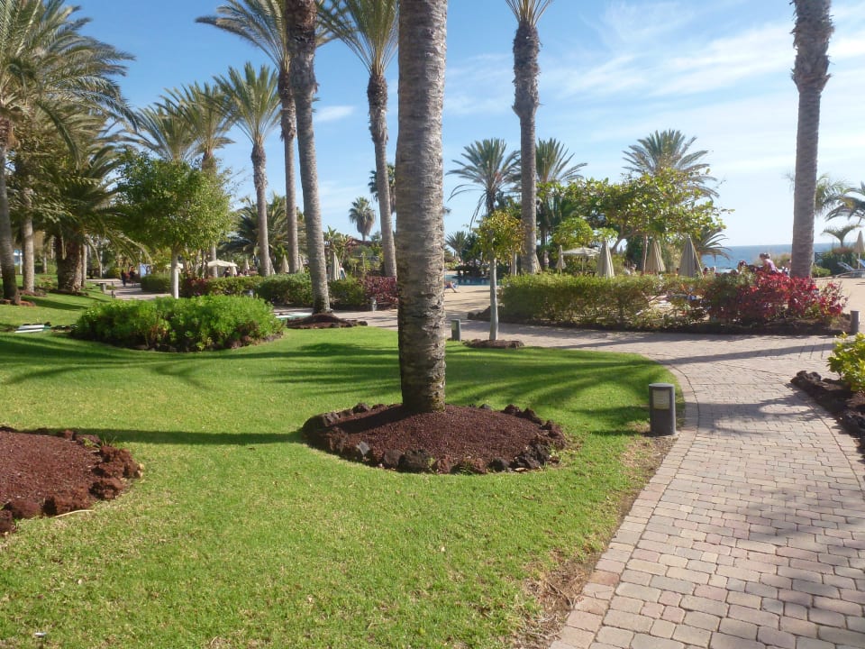 Teil des Garten/Poolbereichs R2 Pajara Beach