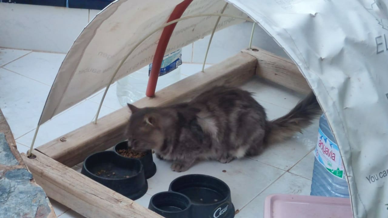 Sonstiges Club Hotel Drago Park