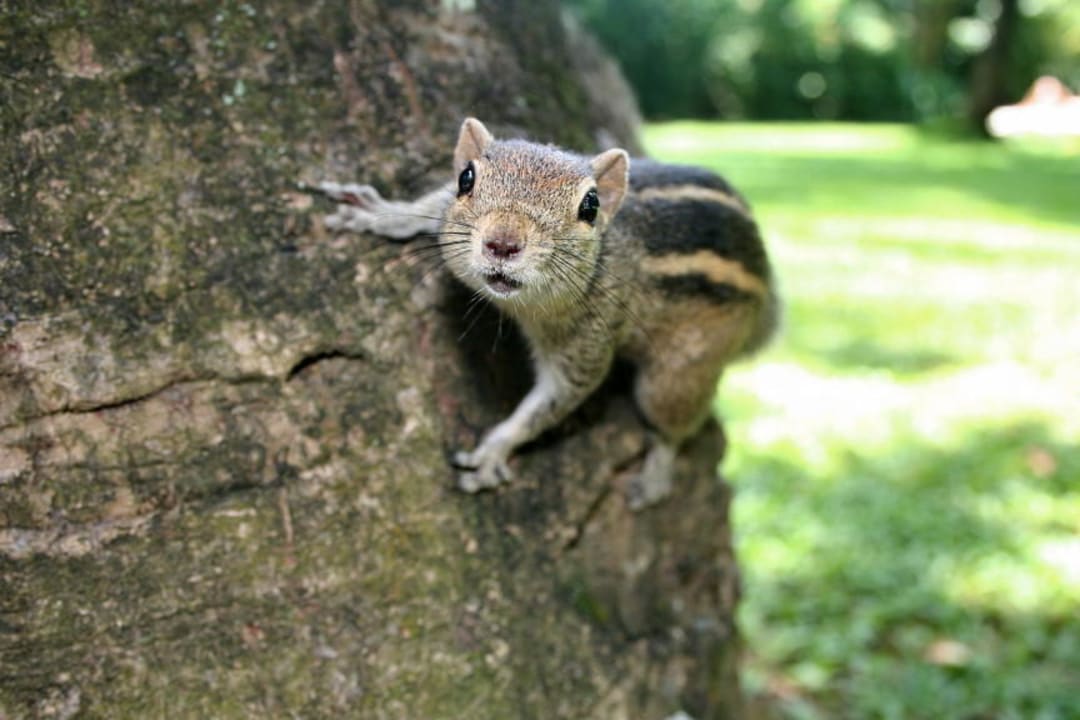 Besuch in der Hotelanlage Hotel Lanka Princess Ayurveda