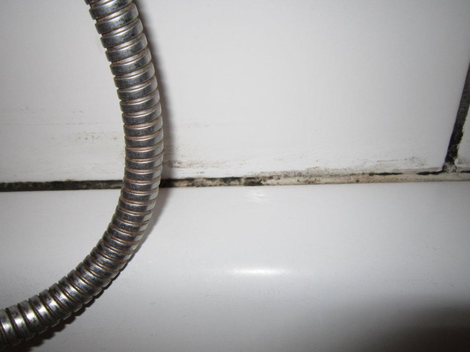 Schimmel in der Dusche Camping- und Ferienpark Markgrafenheide